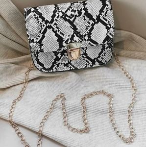 Snakeskin chain bag